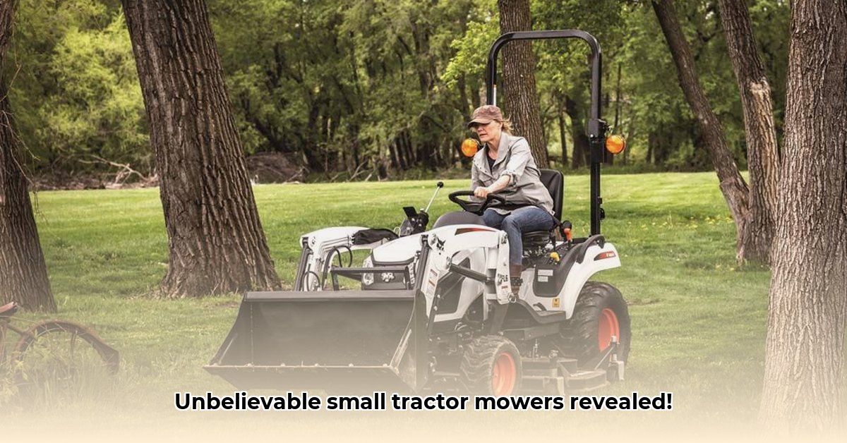 small-tractor-mower